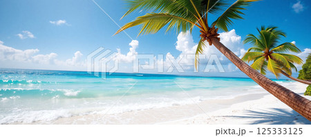 Breathtaking tropical beach with palm trees and azure waters on a sunny day 125333125