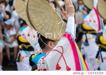 阿波踊りの熱い夜 阿波踊りの熱い夜 125333259