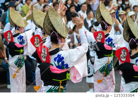 阿波踊りの熱い夜 阿波踊りの熱い夜 125333304