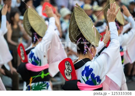 阿波踊りの熱い夜 125333308