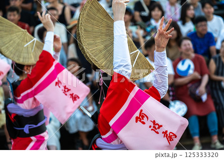 阿波踊りの熱い夜 阿波踊りの熱い夜 125333320