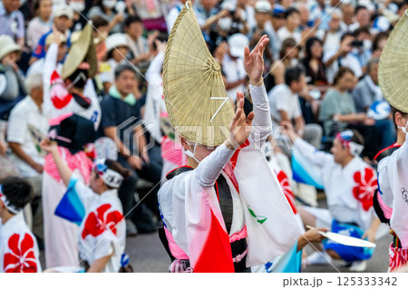 阿波踊りの熱い夜 阿波踊りの熱い夜 125333342