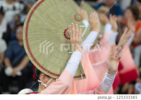阿波踊りの熱い夜 阿波踊りの熱い夜 125333365