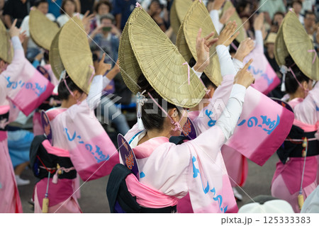 阿波踊りの熱い夜 阿波踊りの熱い夜 125333383