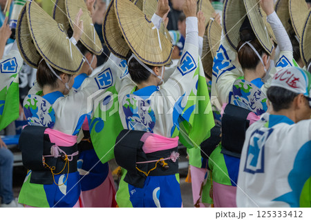 阿波踊りの熱い夜 阿波踊りの熱い夜 125333412