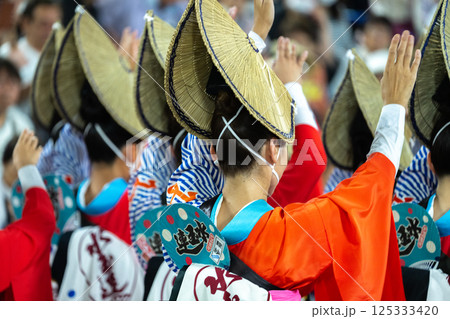 阿波踊りの熱い夜 阿波踊りの熱い夜 125333420