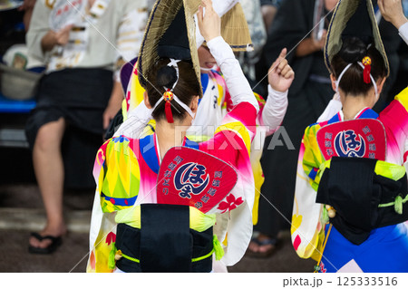 阿波踊りの熱い夜 阿波踊りの熱い夜 125333516