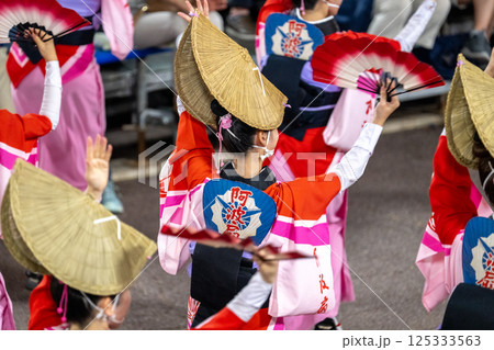 阿波踊りの熱い夜 阿波踊りの熱い夜 125333563