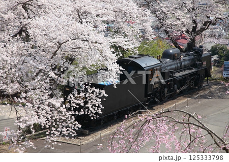 桜満開の公園のSL 125333798