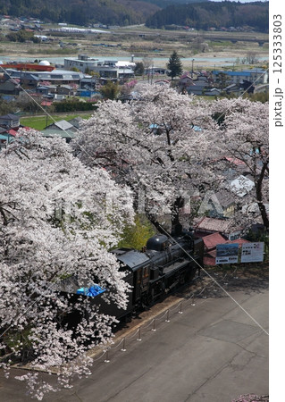 桜満開の公園のSL 125333803