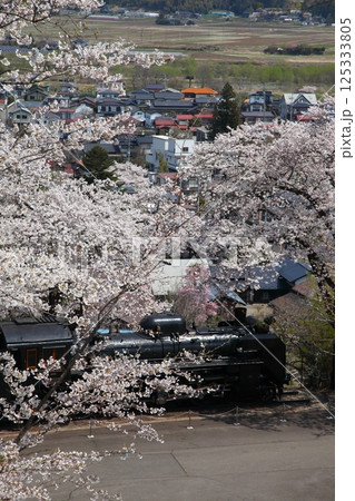 桜満開の公園のSL 125333805