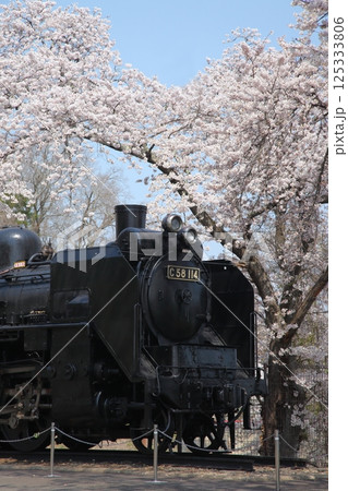 桜満開の公園のSL 125333806