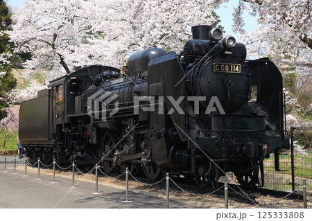 桜満開の公園のSL 125333808