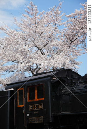 桜満開の公園のSL 125333811