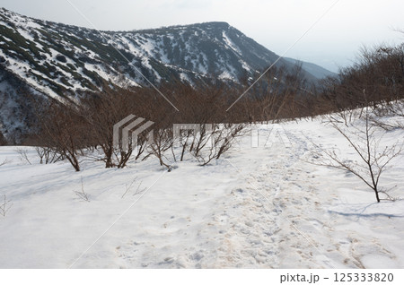 残雪の栃木県那須山登山道から見た4月の風景 残雪の栃木県那須山登山道から見た4月の風景 125333820