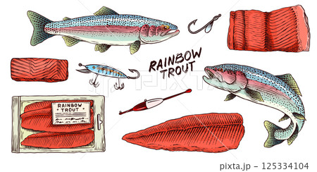 Rainbow trout collection with fish package and chunk of meat.River fishing elements and filet 125334104