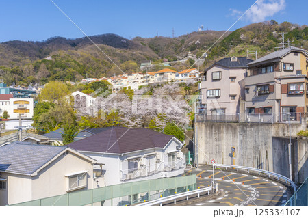 石切S字カーブと満開の桜 125334107