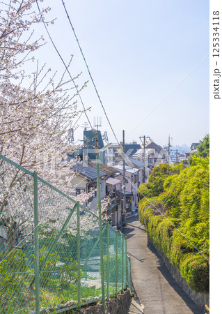 石切駅周辺から見下ろす大阪平野と満開の桜 125334118