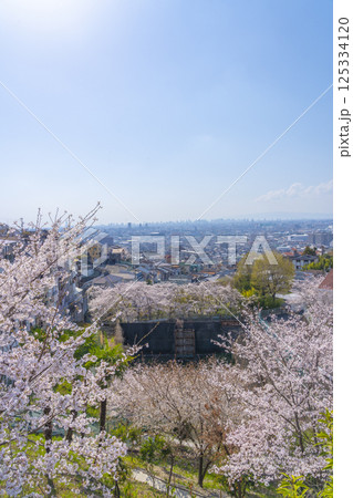 石切駅周辺から見下ろす大阪平野と満開の桜 石切駅周辺から見下ろす大阪平野と満開の桜 125334120