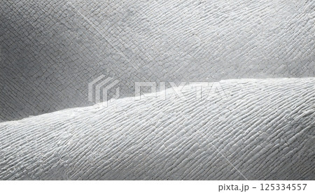 白の背景テクスチャー 白の背景テクスチャー 125334557