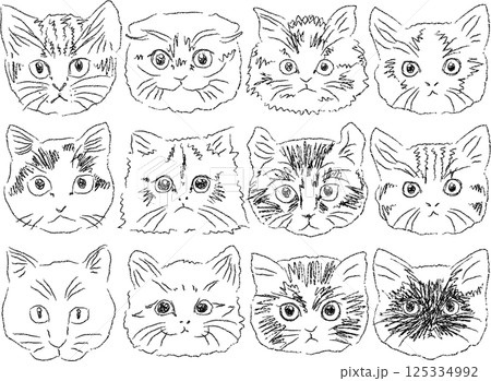 色んな種類の猫の顔　おしゃれなタッチ 125334992