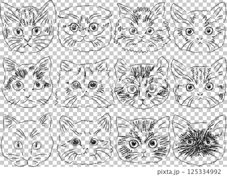 色んな種類の猫の顔　おしゃれなタッチ 125334992