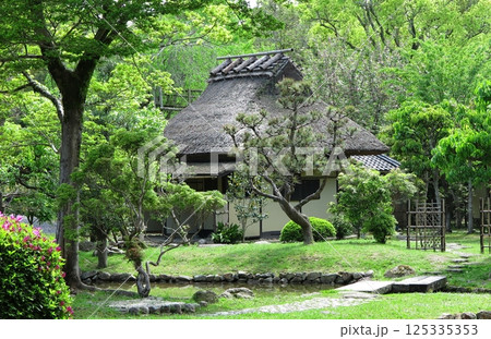 奈良国立博物館の庭園：新緑に囲まれた、茶室「八窓庵」 125335353