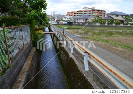 水路 田園 水路 田園 125337586