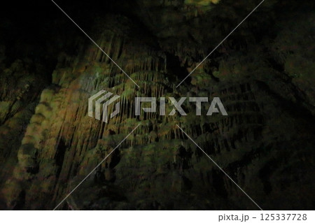 秋芳洞の見所の一つクラゲの滝のぼりの眺め 125337728