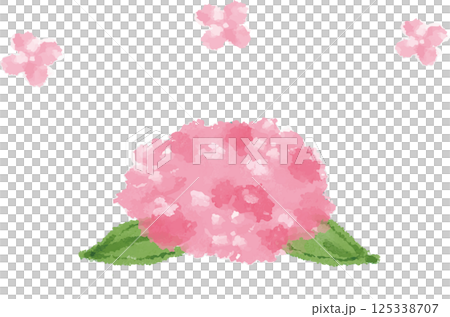 深粉紅色繡球花和花瓣的水彩插圖 深粉紅色繡球花和花瓣的水彩插圖 125338707
