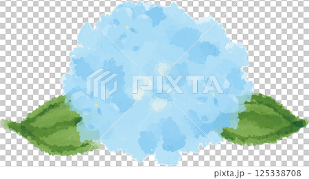 淡藍色繡球花水彩插圖 125338708