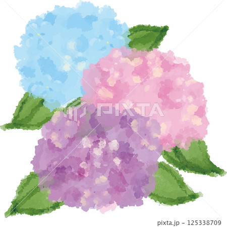 水色ピンク紫の紫陽花の水彩風イラスト 125338709