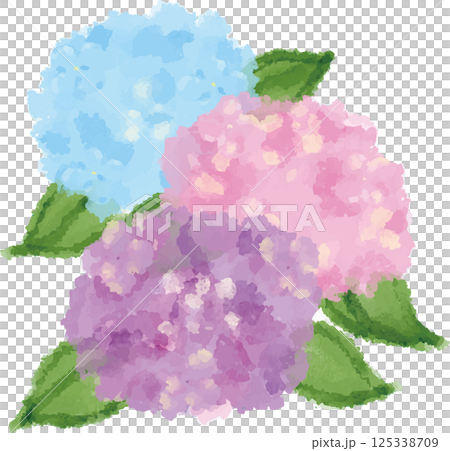 水色ピンク紫の紫陽花の水彩風イラスト 125338709