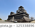 熊本城天守閣 125338896