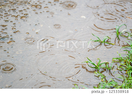 雨の日の水たまり 125338918