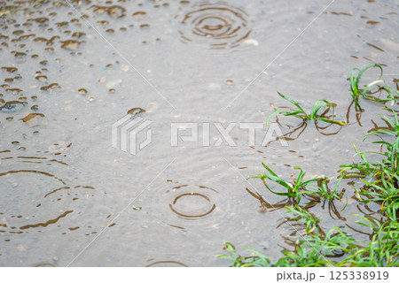 雨の日の水たまり 125338919