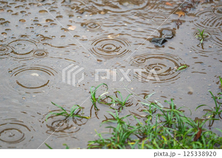雨の日の水たまり 125338920