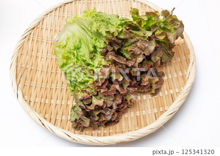 ざるに乗ったサニーレタス ざるに乗ったサニーレタス 125341320