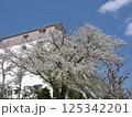 桜と団地 125342201