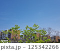 団地のある風景 125342266