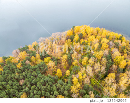 Colorful autumn forest with trees on the shore of a blue lake - top aerial view. Colorful autumn forest with trees on the shore of a blue lake - top aerial view. 125342965