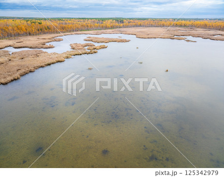 Aerial view of lake or river green shore with forest. Summer season. 125342979