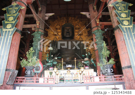奈良公園　東大寺　大仏　鹿 125343488