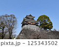 熊本城の未申櫓 125343502