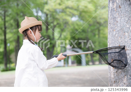 虫むし大作戦! 虫網で森の中で虫を捕まえる、女の子の夏休み 虫むし大作戦! 虫網で森の中で虫を捕まえる、女の子の夏休み 125343996