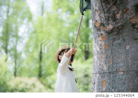 虫むし大作戦！　虫網で森の中で虫を捕まえる、女の子の夏休み 125344004