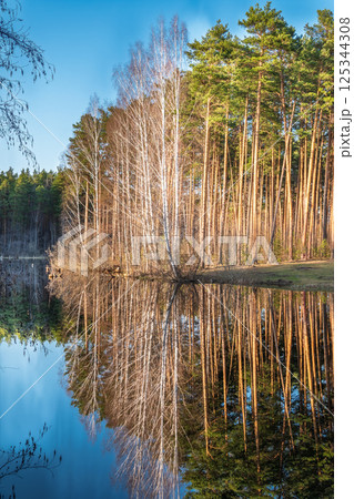 Calm lake with green trees on the shore and a beautiful reflection. Summer landscape. Calm lake with green trees on the shore and a beautiful reflection. Summer landscape. 125344308