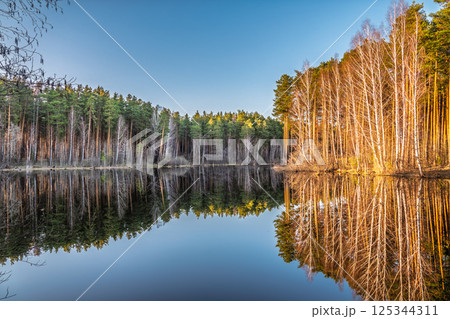 Calm lake with green trees on the shore and a beautiful reflection. Summer landscape. 125344311