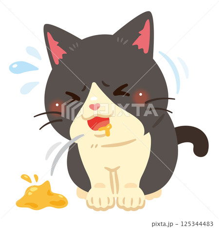 嘔吐する猫のイラスト 125344483