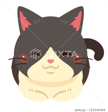 香箱座りする猫のイラスト 125344484